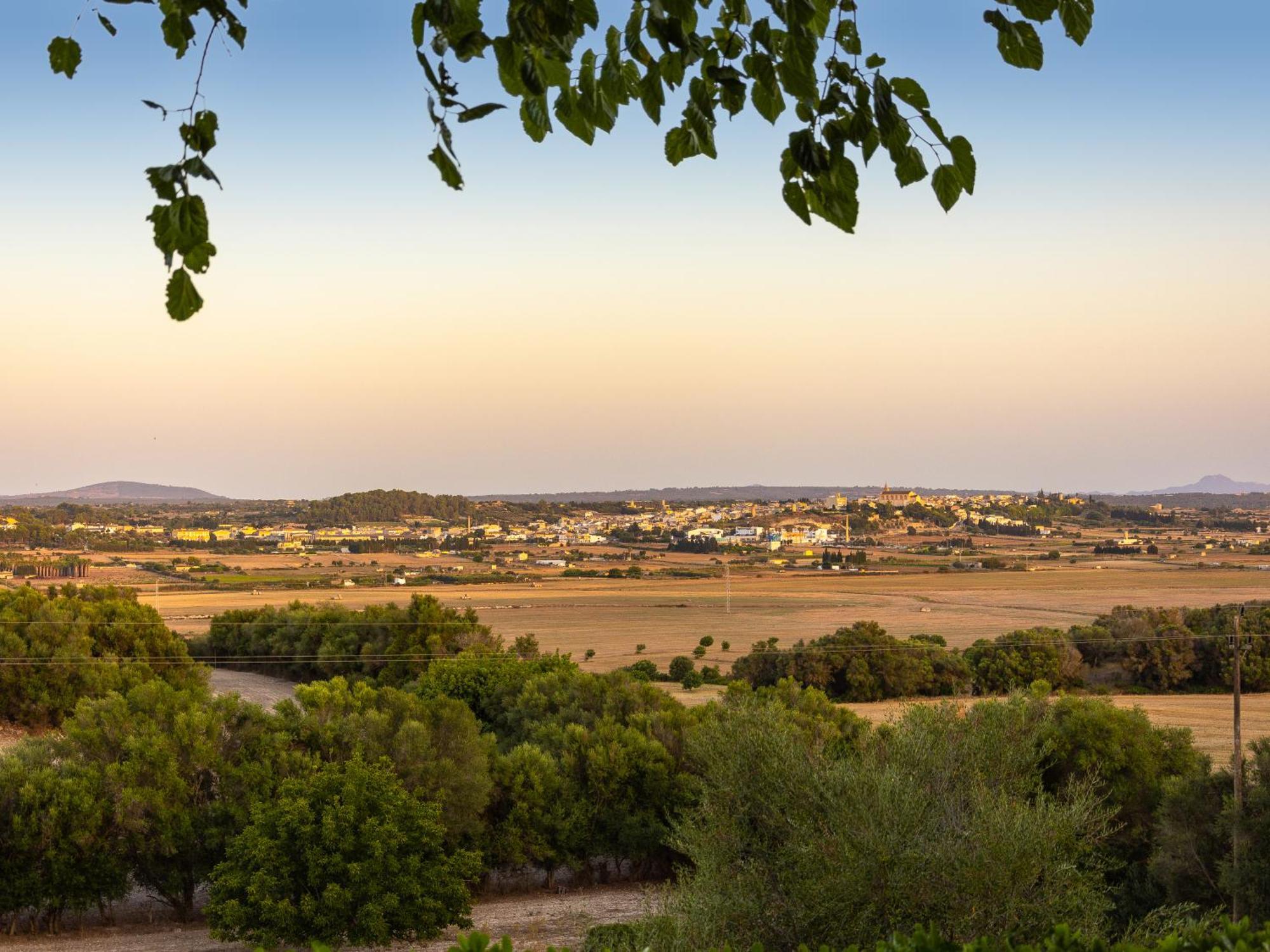 Son Flor Agroturisme Santa Margalida Εξωτερικό φωτογραφία