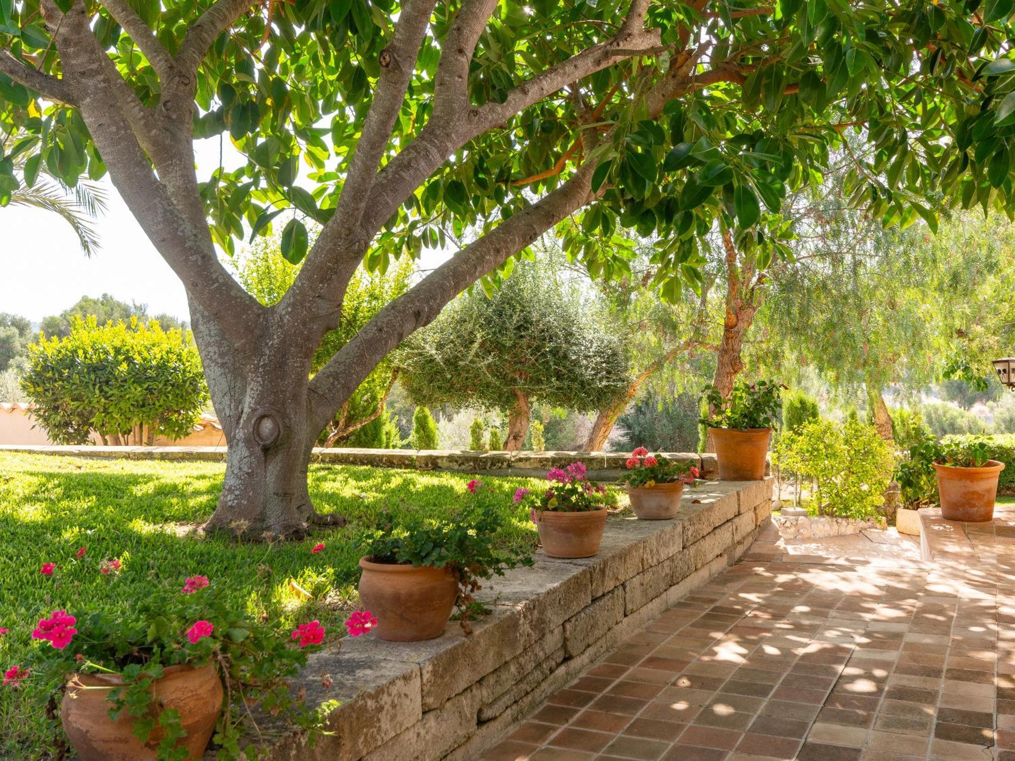 Son Flor Agroturisme Santa Margalida Εξωτερικό φωτογραφία